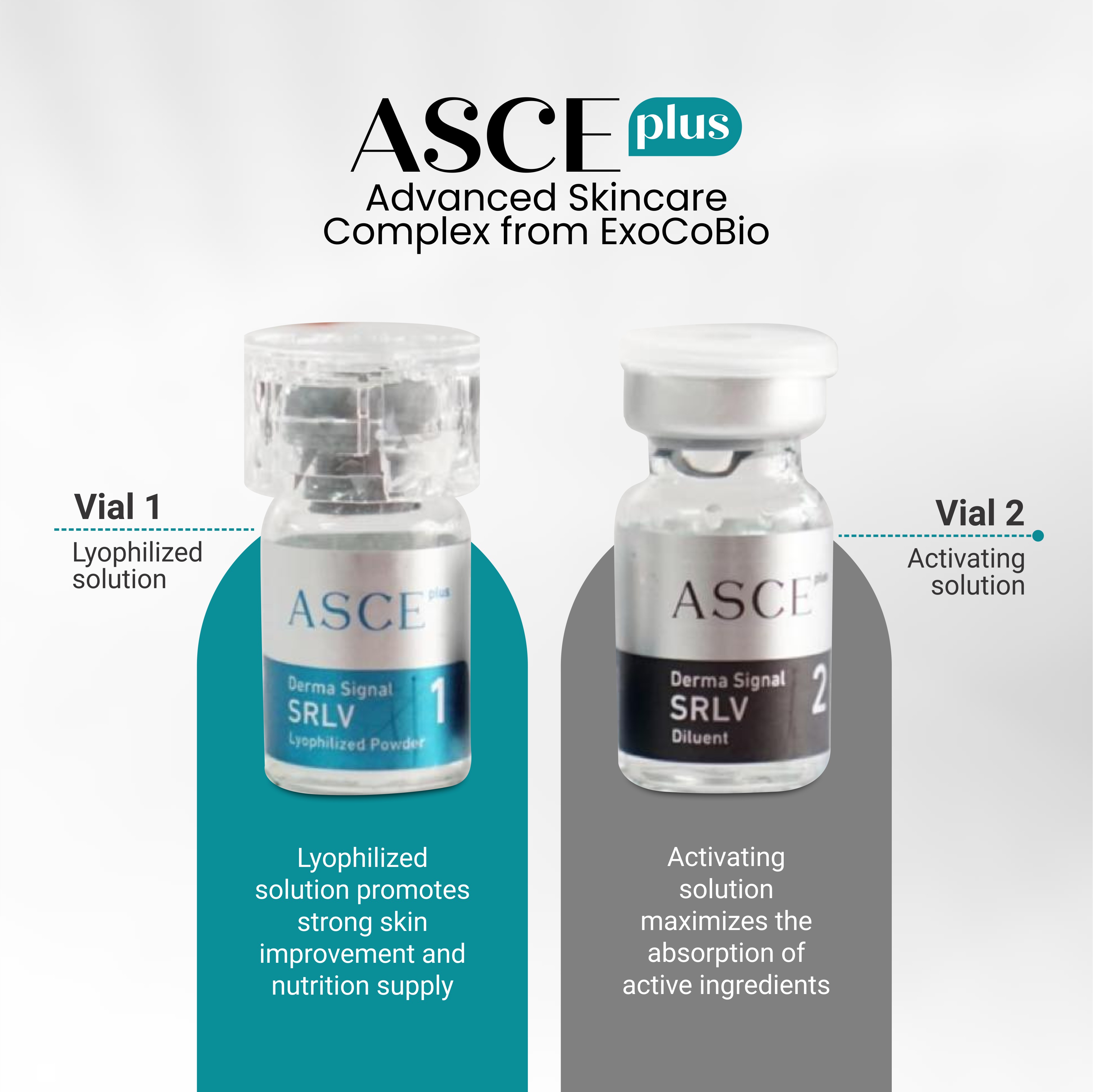 ASCE Exosme Premium FILLER SKINCARE