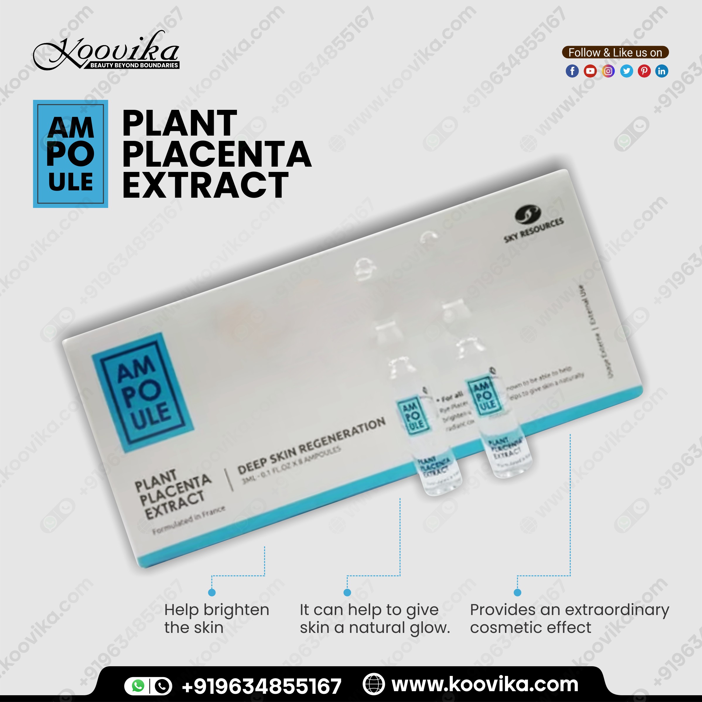 PLANT PLACENTA EXTRACT AMPOULE ORI